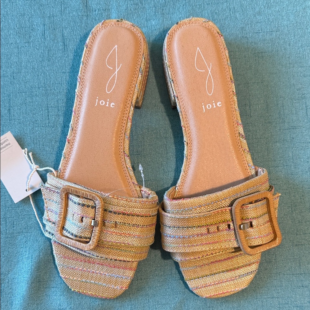 Joie Multicolor Buckle Slide Sandals